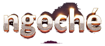 ngoche logo